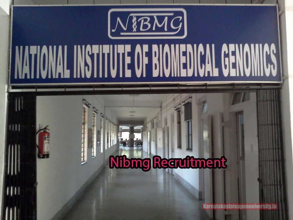 Nibmg Recruitment