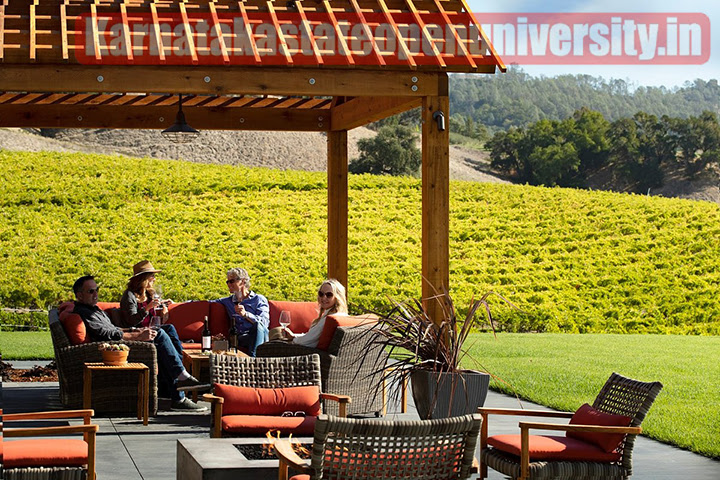 15 Best Sonoma Wineries With Beautiful Views According to tourist and Experts Step by Step Full Guide