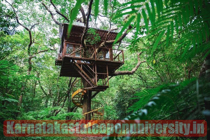 25 Best Tree House Hotels in the World 2023 with the Hot Tubs, Air-conditioning and Beautiful Views