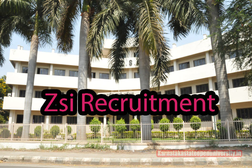Zsi Recruitment