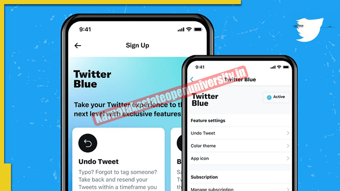 Twitter Blue subscription launched in India