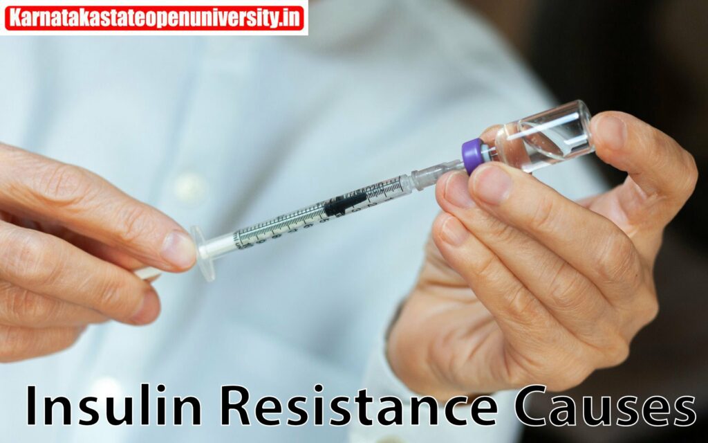 Insulin Resistance Causes