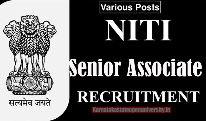 NITI Senior Associate Recruitment In Delhi 2023
