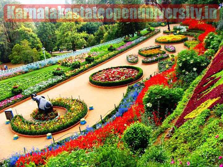 Best Places to visit in Ooty in 2023