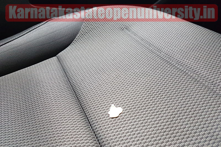 How to Remove Chewing Gum from a Car Seat 2023