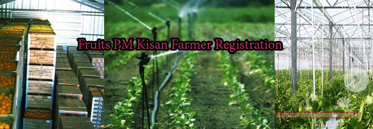 Fruits PM Kisan Farmer Registration