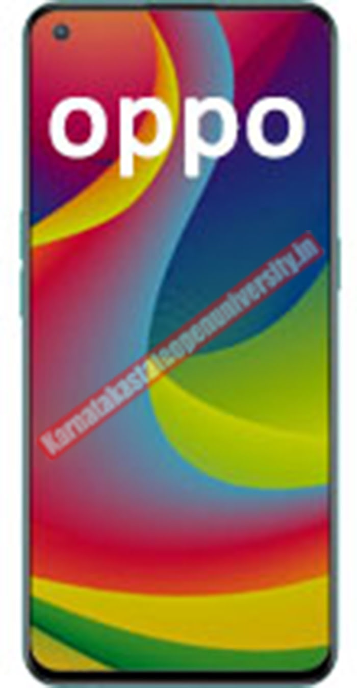 oppo a19s price