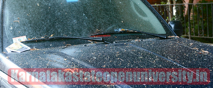 How to Remove Tree Sap From Your Car 2023 in Details Full Guide