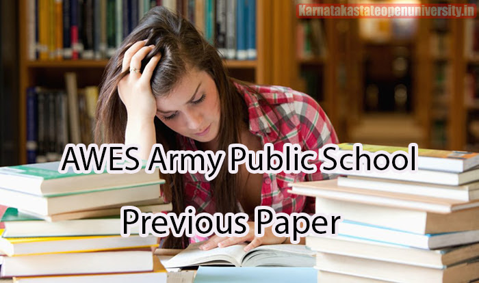 AWES Army Public School Previous Paper