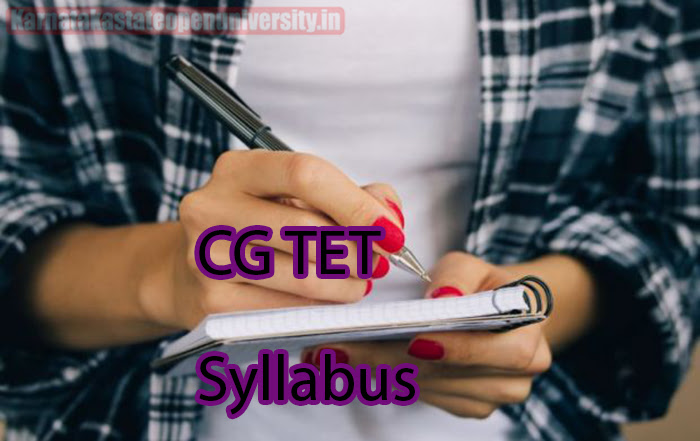 CG TET Syllabus 