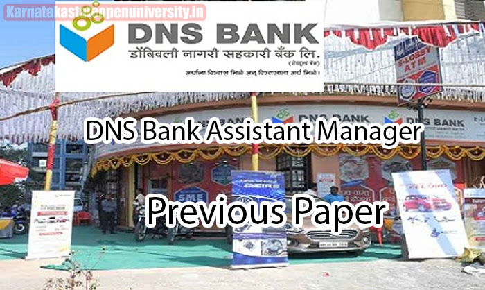DNS Bank Assistant Manager Previous Paper 