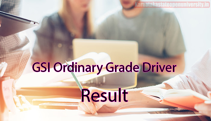 GSI Ordinary Grade Driver Result