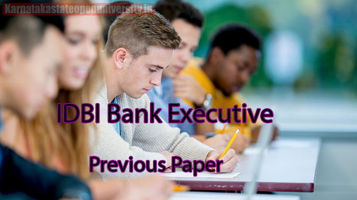 IDBI Bank Executive Previous Paper 