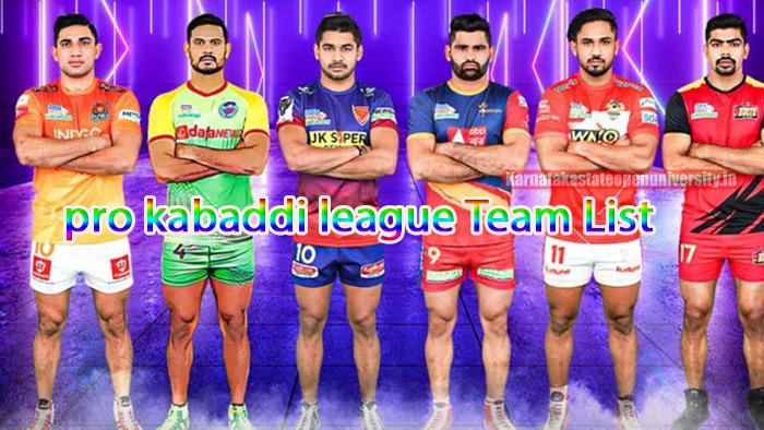 Pro Kabaddi League Teams