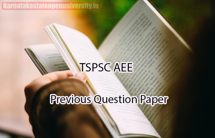 TSPSC AEE Previous Question Paper