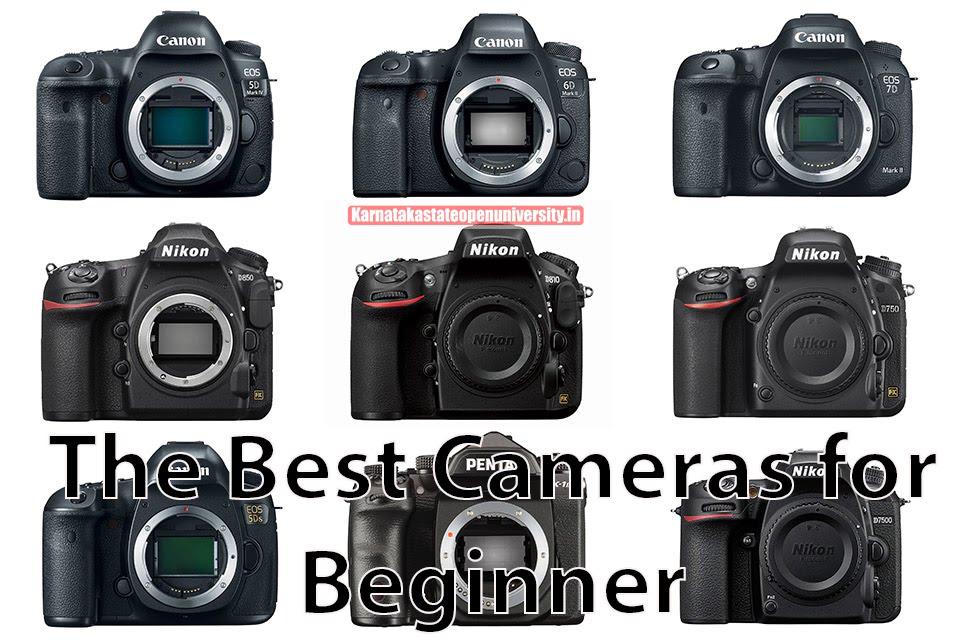 The Best Cameras for Beginner