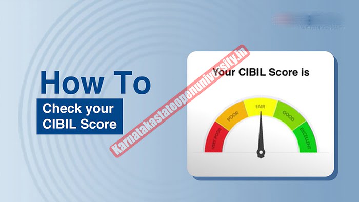 How to Get a Credit Card with A CIBIL Score of 700