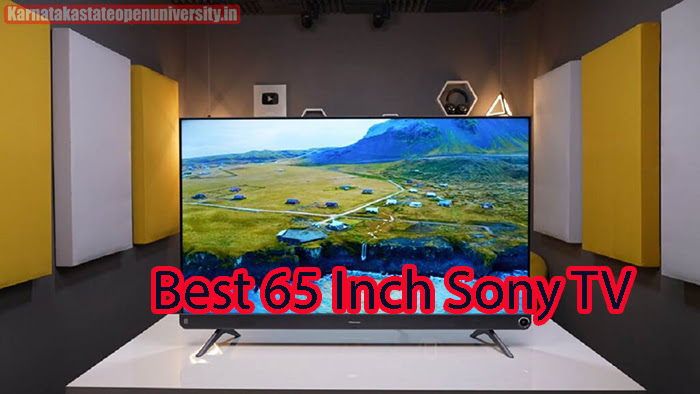 Best 65 Inch Sony TV