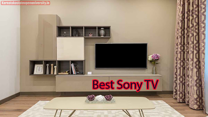 Best Sony TV