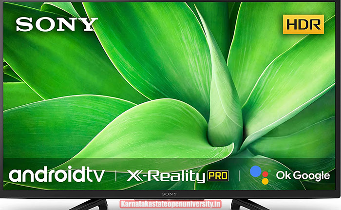 Sony Bravia 80 cm (32 inches) HD Ready Smart LED Google TV 