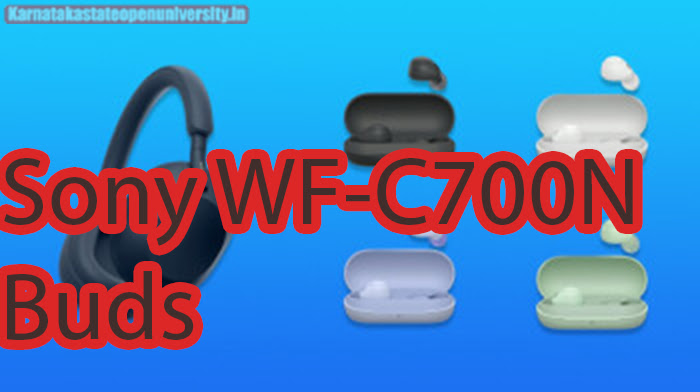 Sony WF-C700N buds