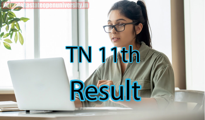 TN 11th Result 