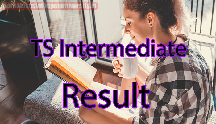 TS Intermediate Results 