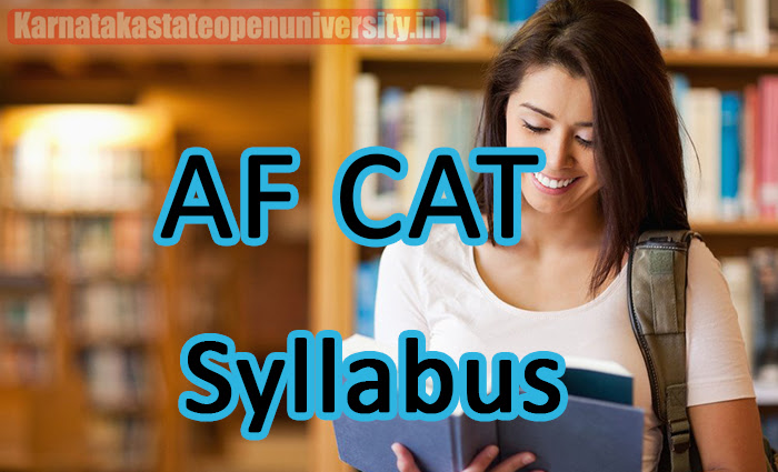AF CAT Syllabus