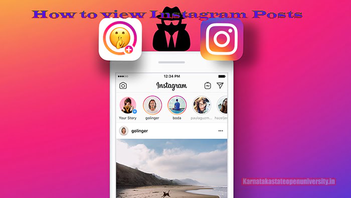 How to view Instagram Posts