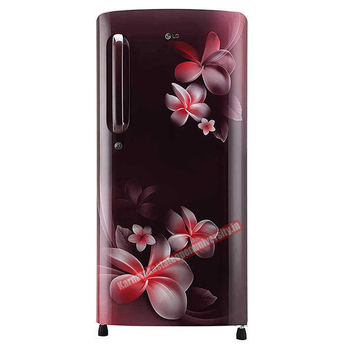 LG 190 L 4 Star Inverter Direct-Cool Single Door Refrigerator