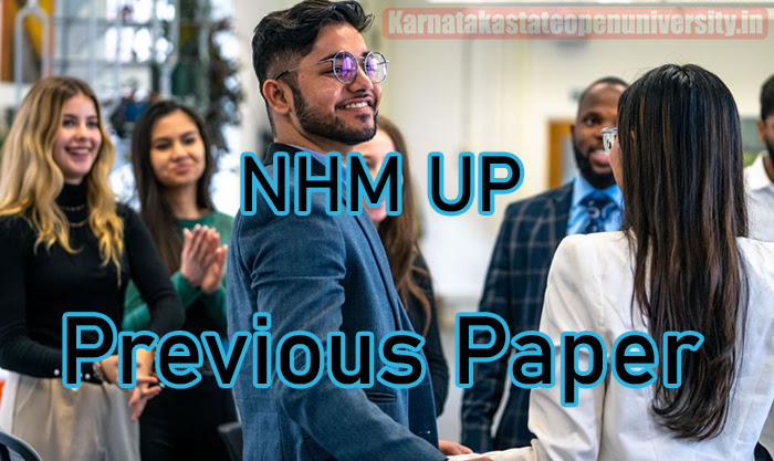NHM UP Previous Paper