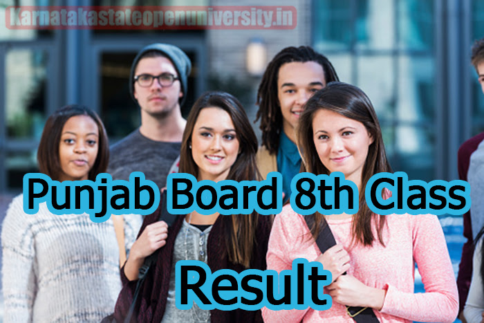 Punjab Board 8th Class Result 
