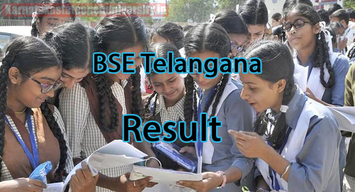 bse.telangana.gov.in Results