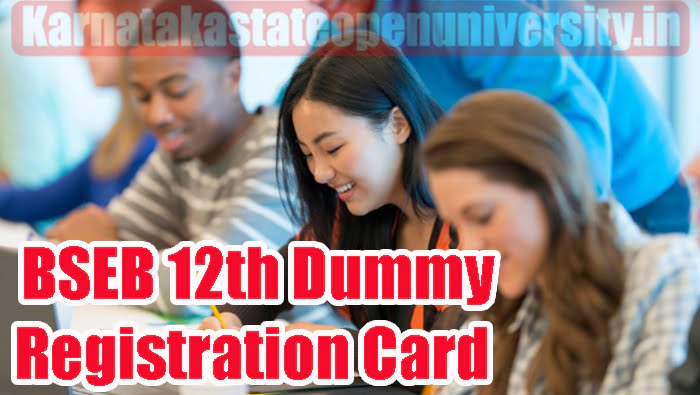 BSEB 12th Dummy Registration Card 2024