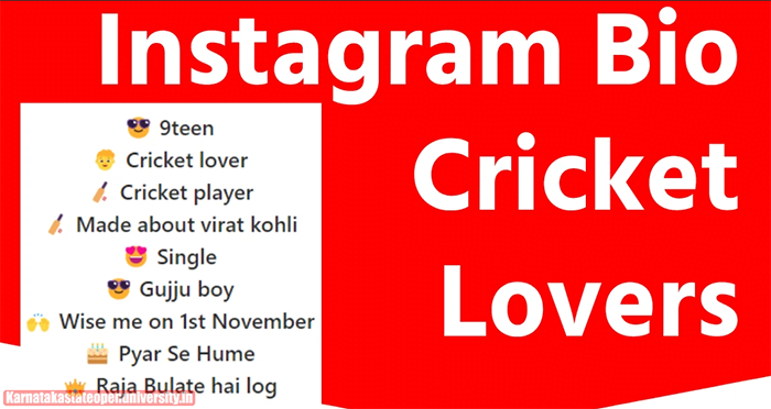 Best Instagram Names For Cricket Lovers
