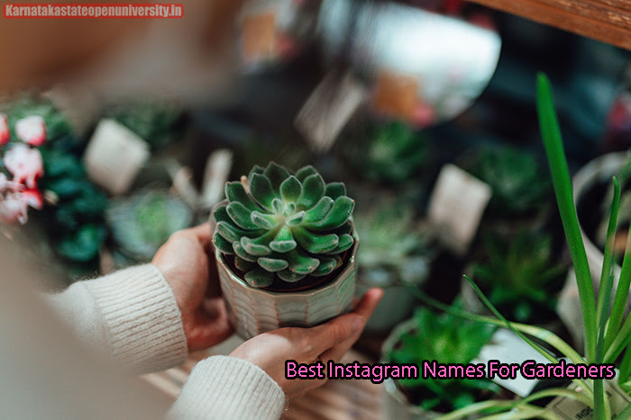 Best Instagram Names For Gardeners