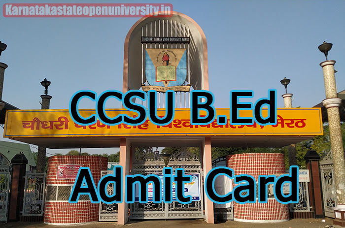 CCSU B.Ed Admit Card 