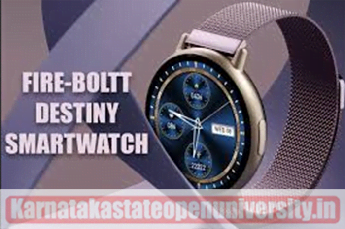 Fire Boltt Destiny Smartwatch 2023