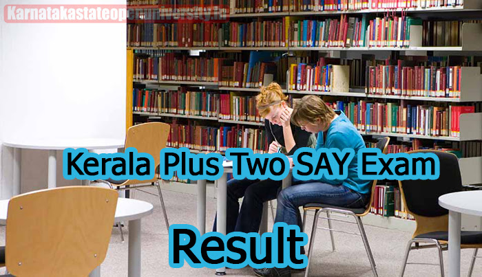Kerala Plus Two SAY Exam Result