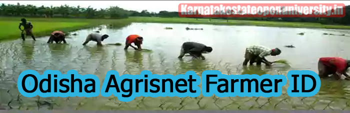 Odisha Agrisnet Farmer ID