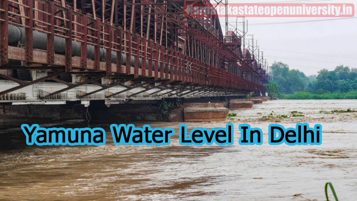 Yamuna Water Level In Delhi