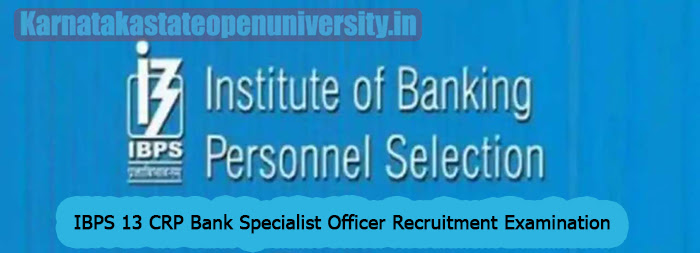 IBPS 13 CRP Bank Specialist Officer Recruitment Examination