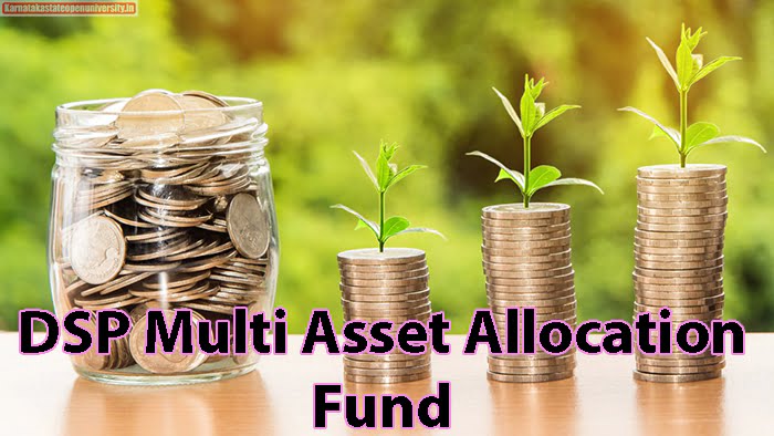 DSP Multi Asset Allocation Fund