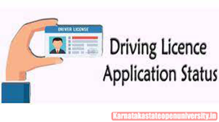 Driving Licence Status Online