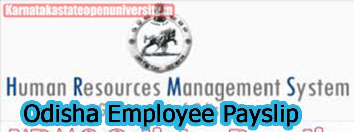 HRMS Odisha Employee Payslip 2023