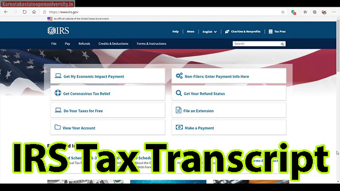 IRS Tax Transcript