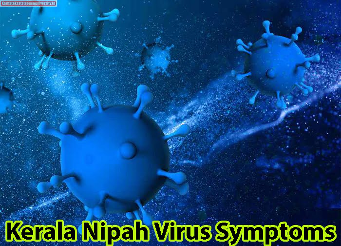 Kerala Nipah Virus Symptoms