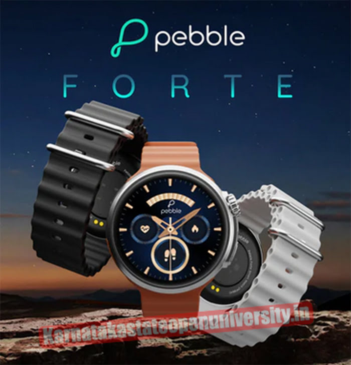 Pebble Forte Smartwatch
