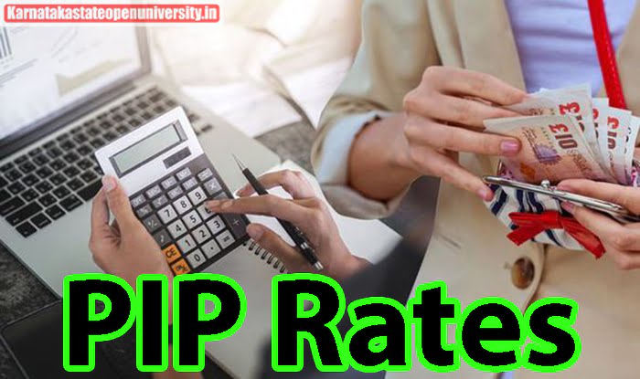 PIP Rates