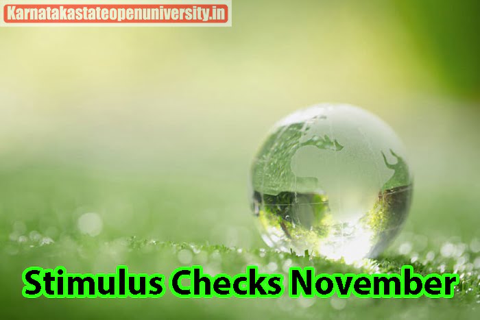 Stimulus Checks November